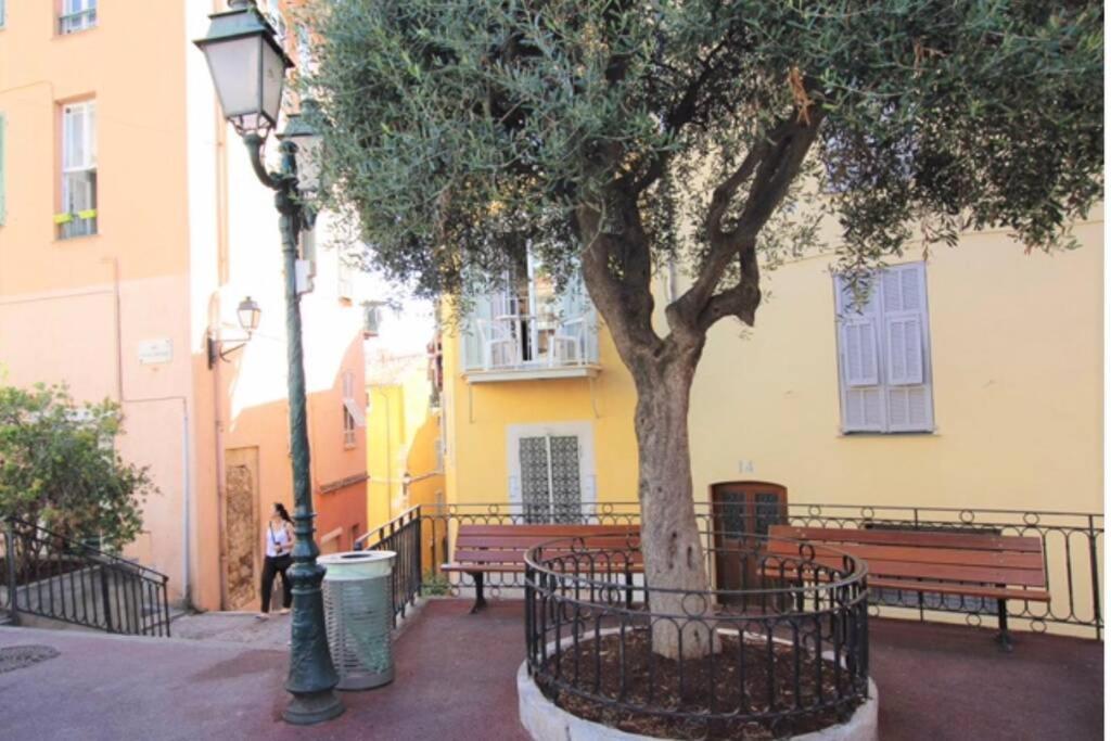 Charming Apartment Near The Beach Villefranche-sur-Mer Eksteriør bilde